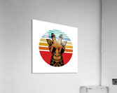 giraffe sunset sunset retro Acrylic Print