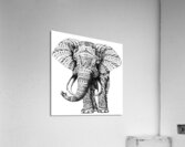 Elephant Acrylic Print