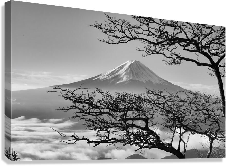 japan uji maountain nature Canvas Print