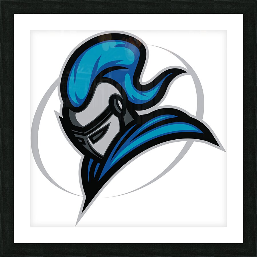 Shield Knight Chivalry Picture Frame print