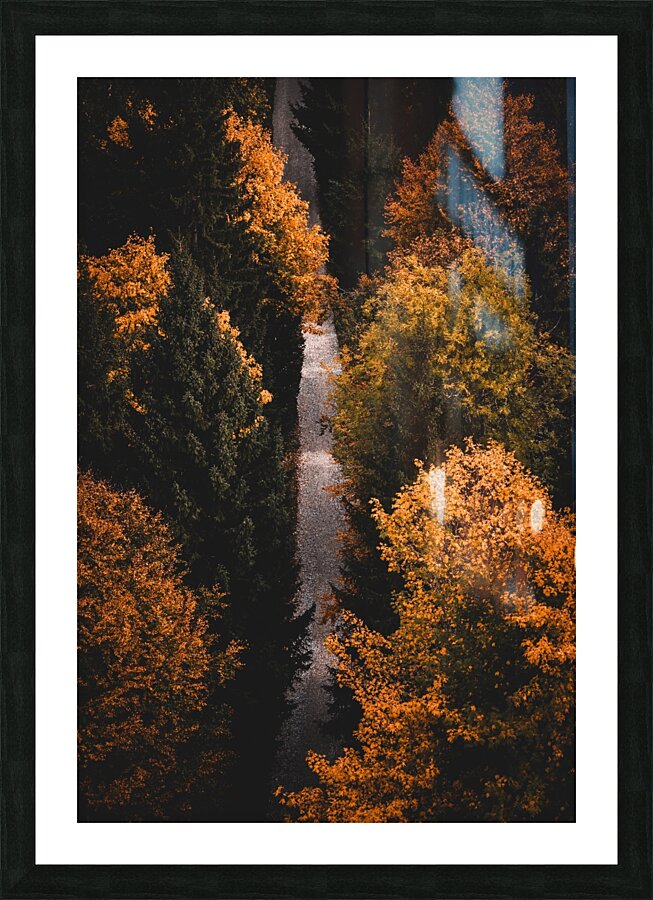 path fall hike leaves forest Picture Frame print