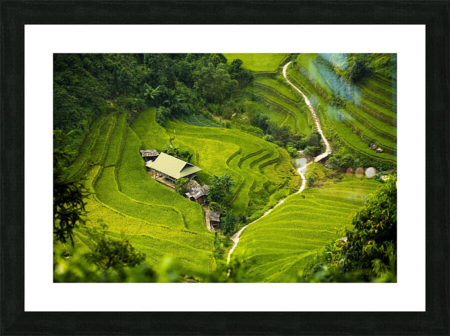 apartment curve path step Picture Frame print