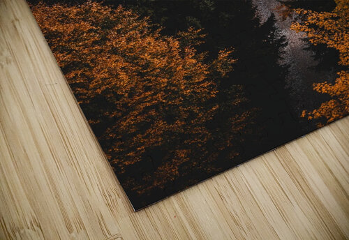 path fall hike leaves forest Adriart puzzle
