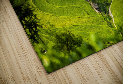 apartment curve path step Adriart puzzle