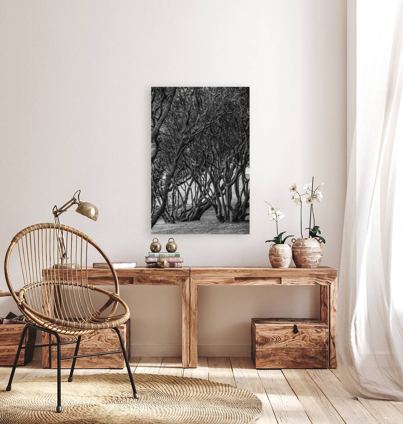 trees yard nature forest Reproduction