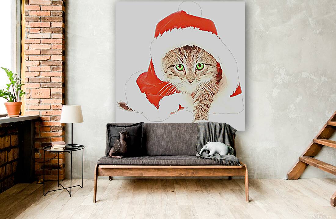 santa claus Reproduction