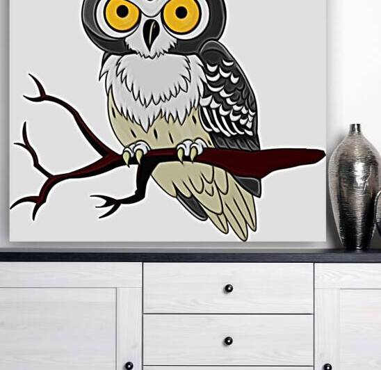 bird owl Reproduction