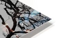 japan uji maountain nature HD Metal print