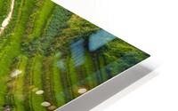apartment curve path step HD Metal print