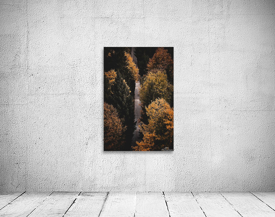path fall hike leaves forest Wall Preview