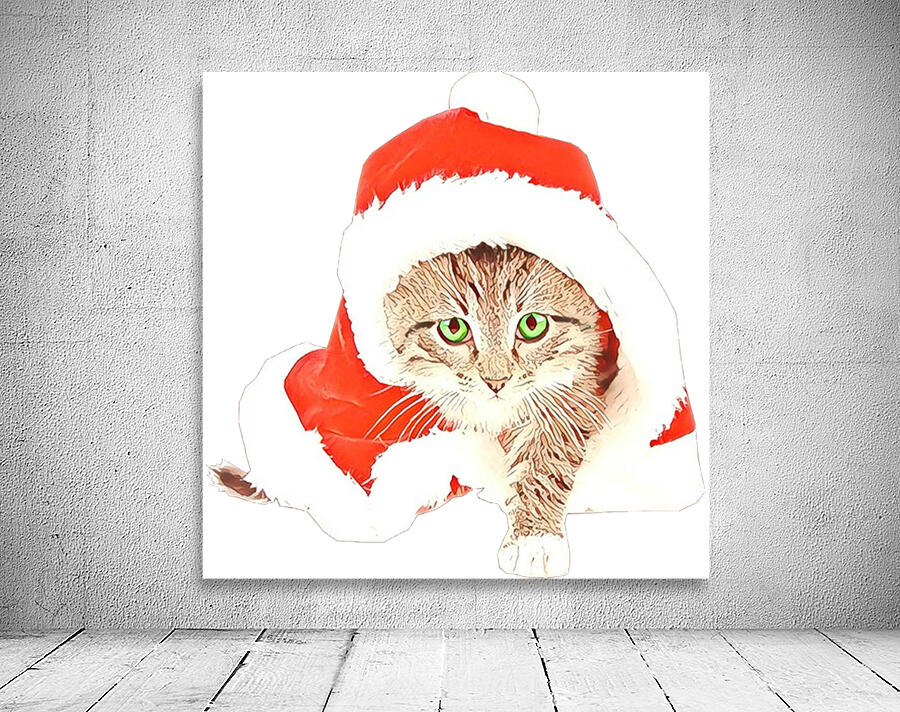 santa claus Wall Preview