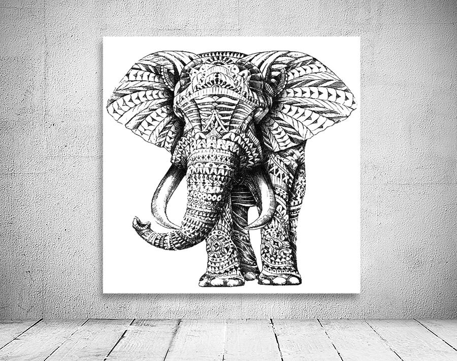 Elephant Wall Preview