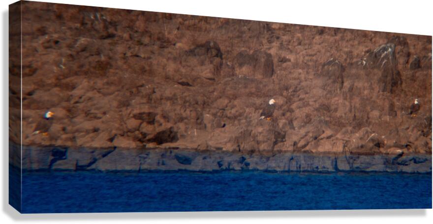 Eagle’s Dam Watch Canvas Print