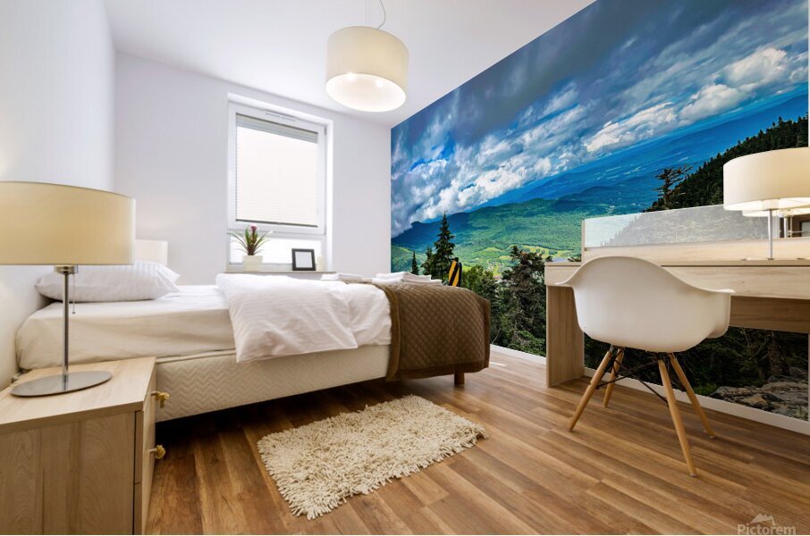 Tempting Fate Mural print