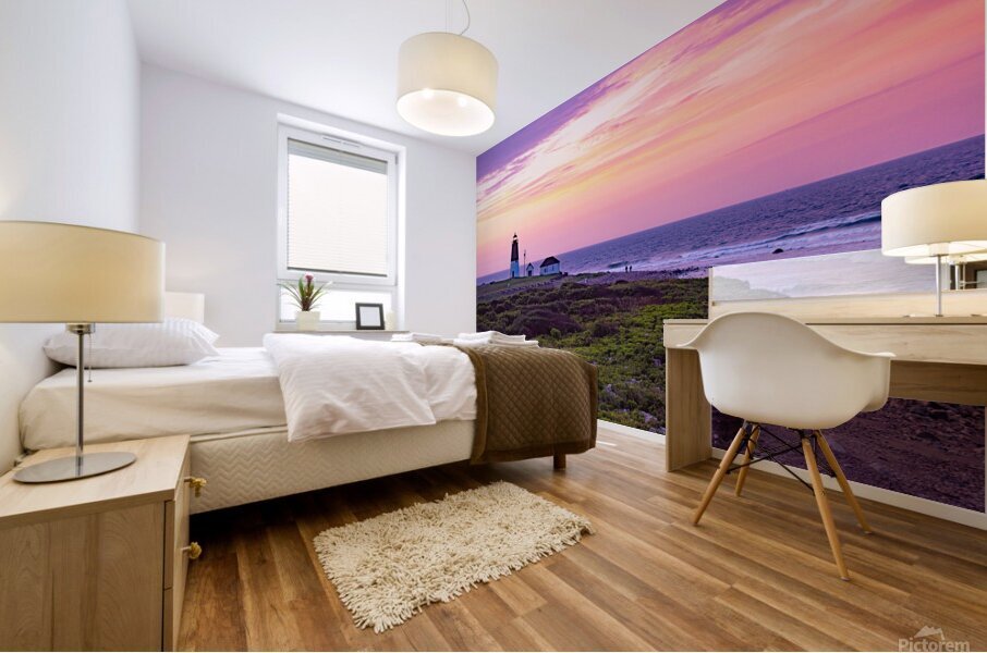 Point Judith-July Mural print