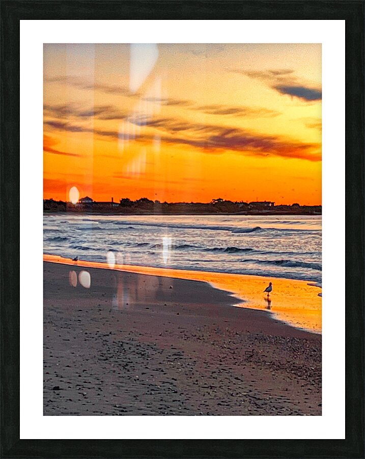 Golden Gansett Picture Frame print