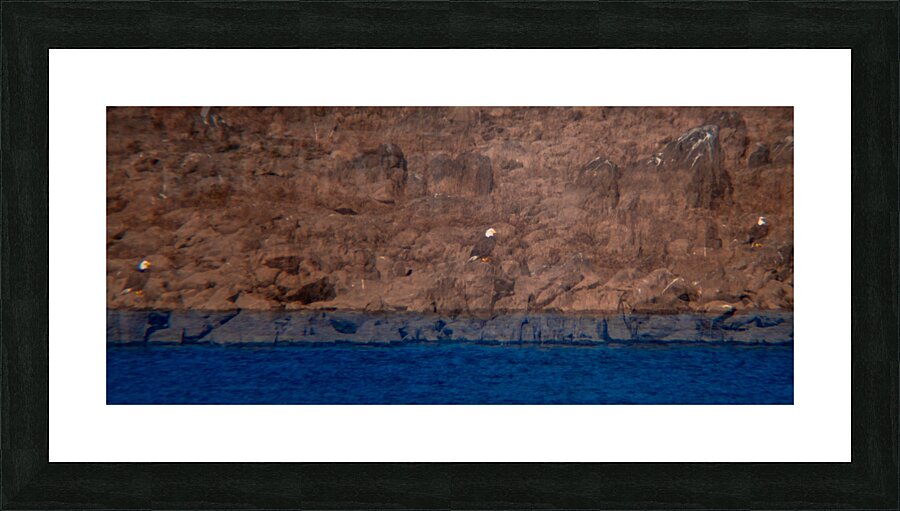 Eagle’s Dam Watch Picture Frame print
