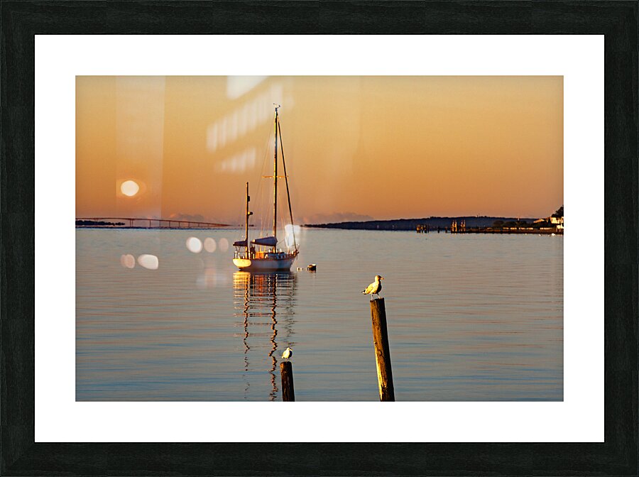 Sailing September  Picture Frame print