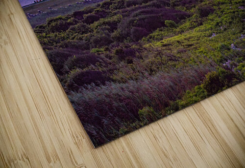 Point Judith-July Mary Beth LaCroix puzzle