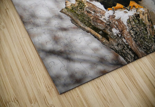 DSC06903 Mary Beth LaCroix puzzle