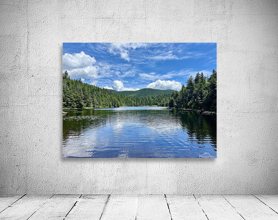 Sterling Pond-Rest Wall Preview