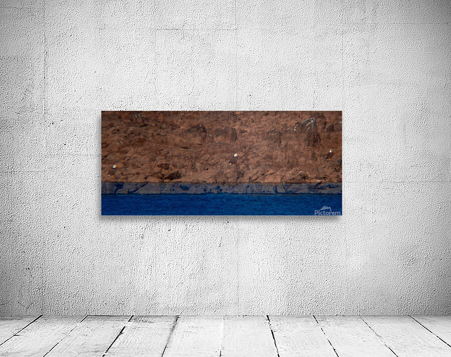 Eagle’s Dam Watch Wall Preview