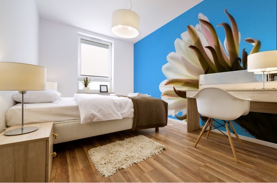 Cactus Flower Mural print