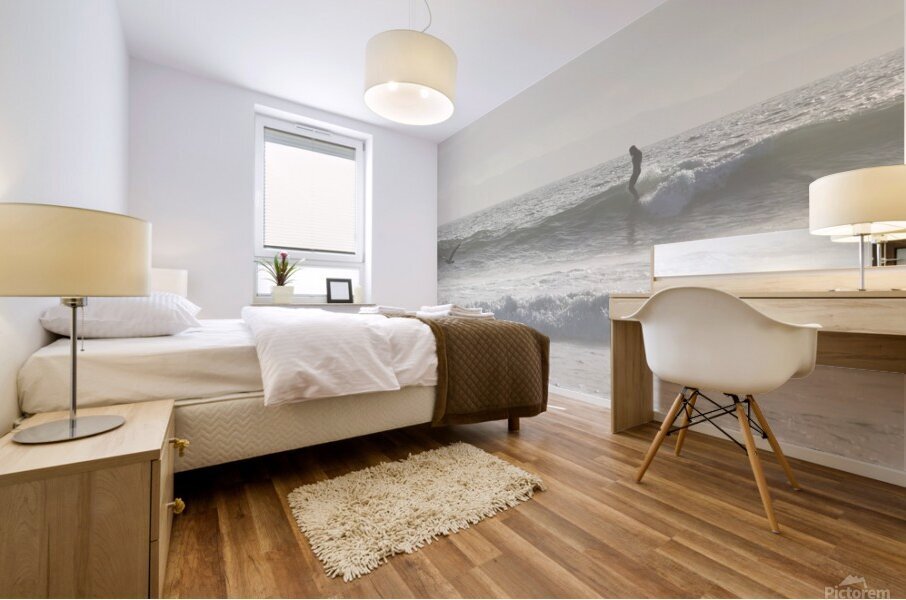Flying By Mural print