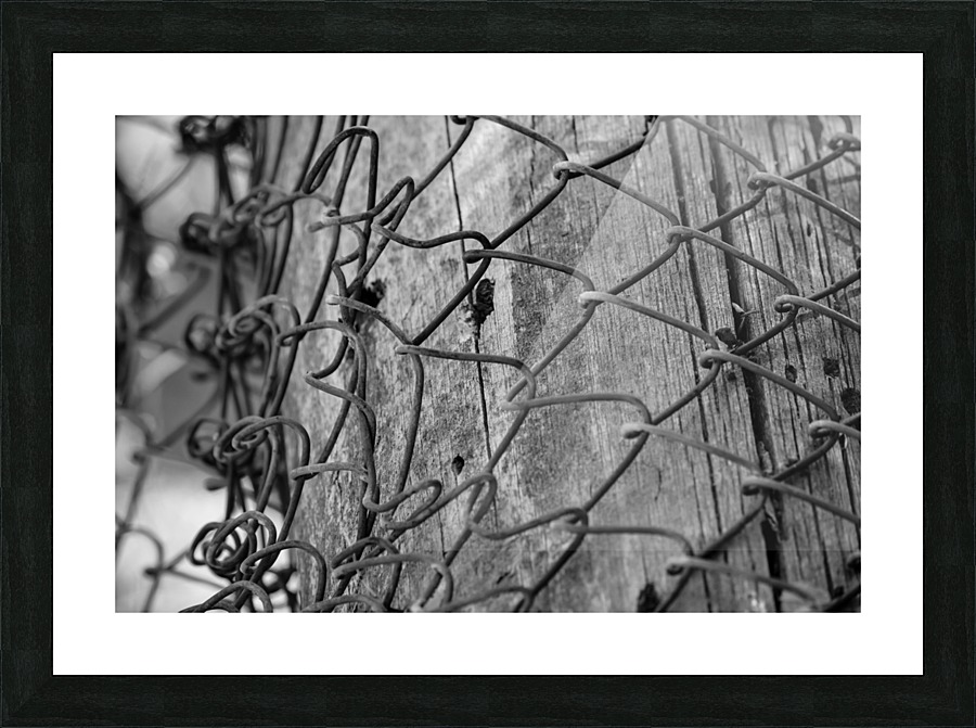 Never Letting Go Picture Frame print