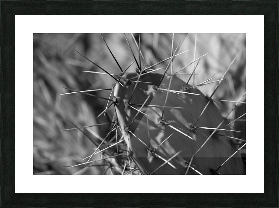 Prickly Pear Picture Frame print