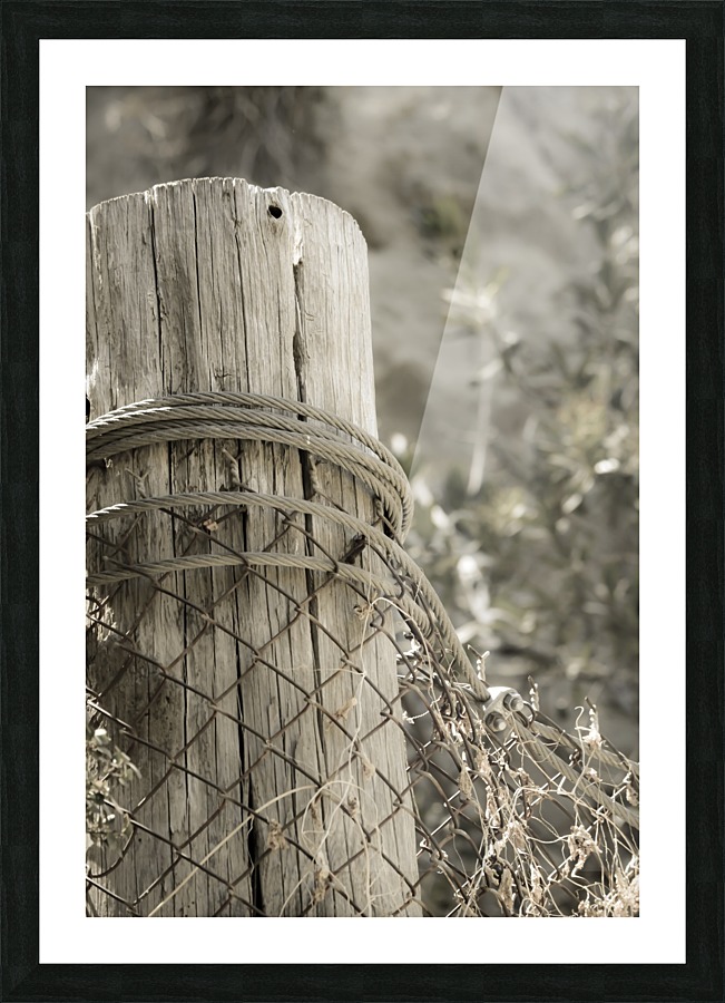On the Ranch  Picture Frame print
