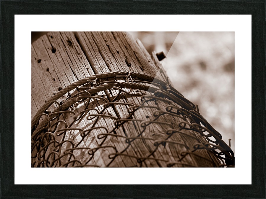 Fallen Fence Post Picture Frame print