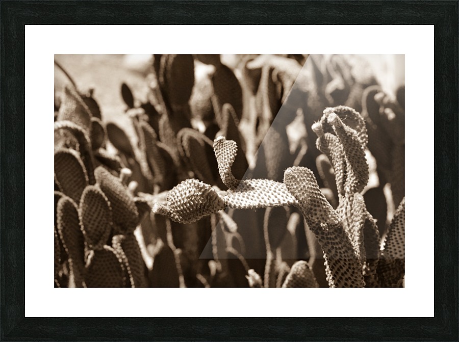 Take a Bow Picture Frame print