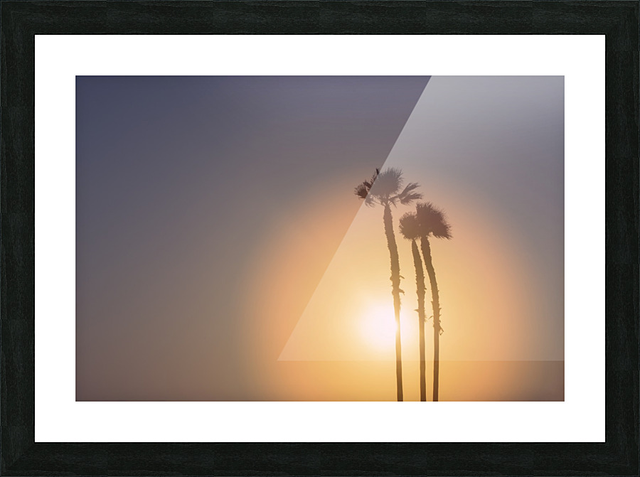 Palm Tree Sunset Picture Frame print