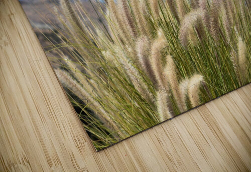 Foxtails on a Hill Leah McPhail puzzle