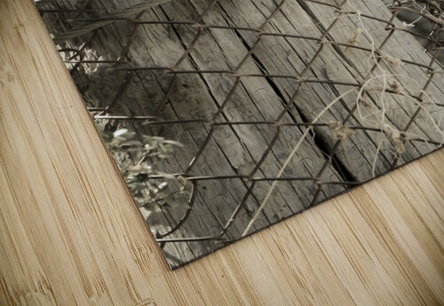 On the Ranch  Leah McPhail puzzle