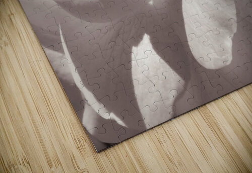 Delicate Beauty Leah McPhail puzzle