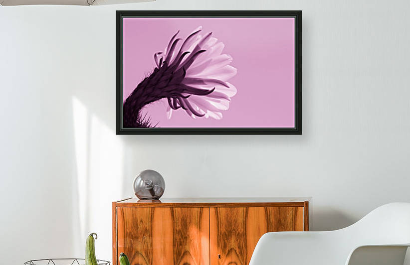 Cactus Flower in Pink by Leah McPhail