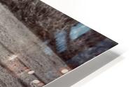 Clean Plate HD Metal print