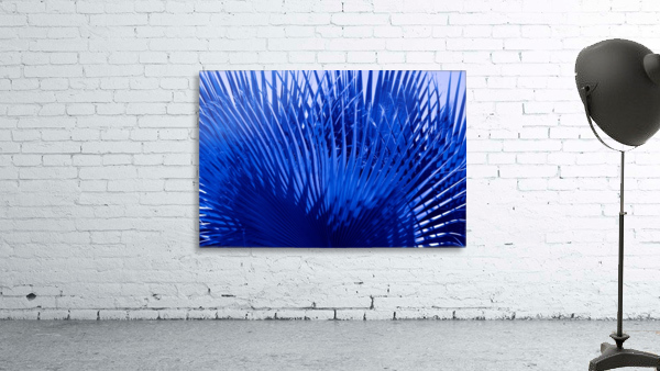 Blue Palms Wall Preview