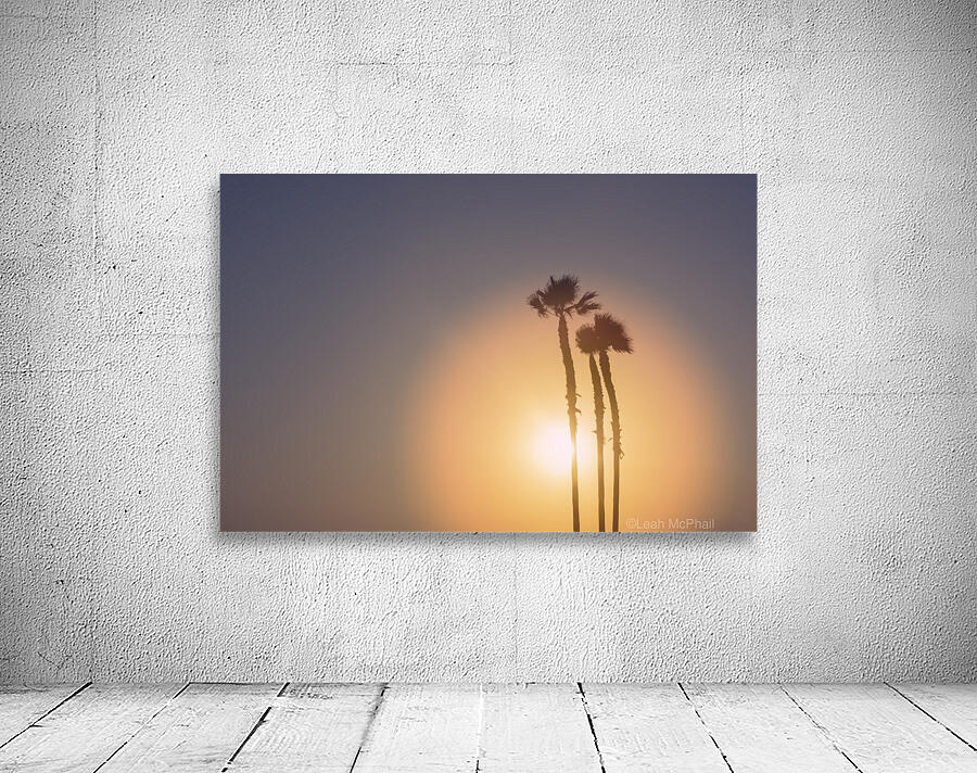 Palm Tree Sunset Wall Preview