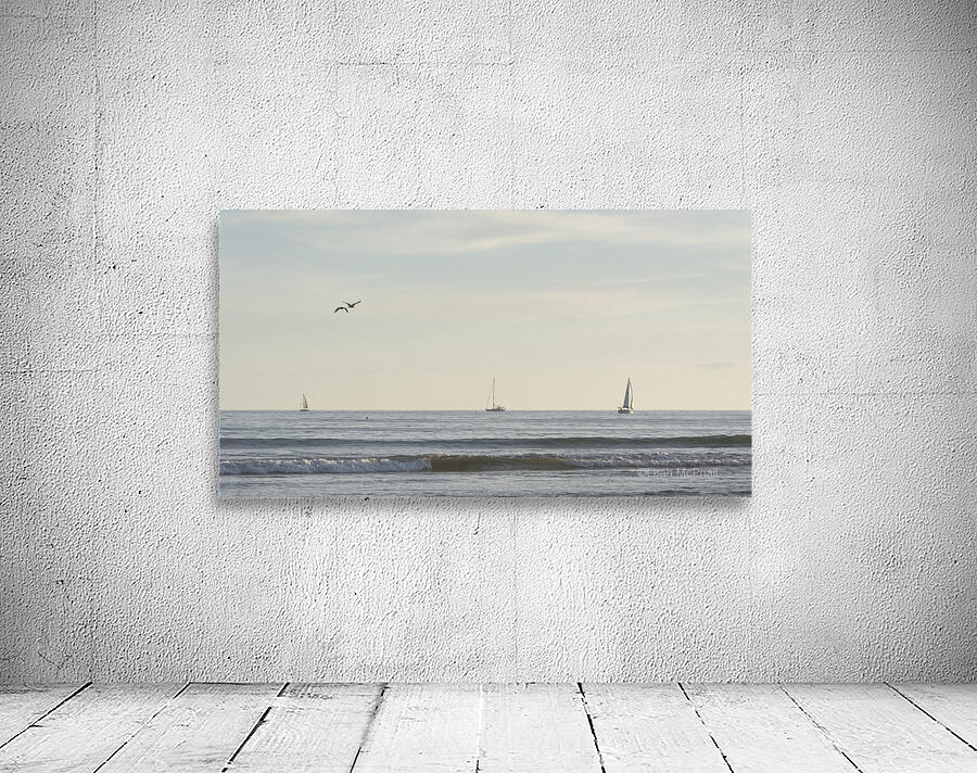 Sailing Dana Point Wall Preview