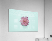 2 Acrylic Print