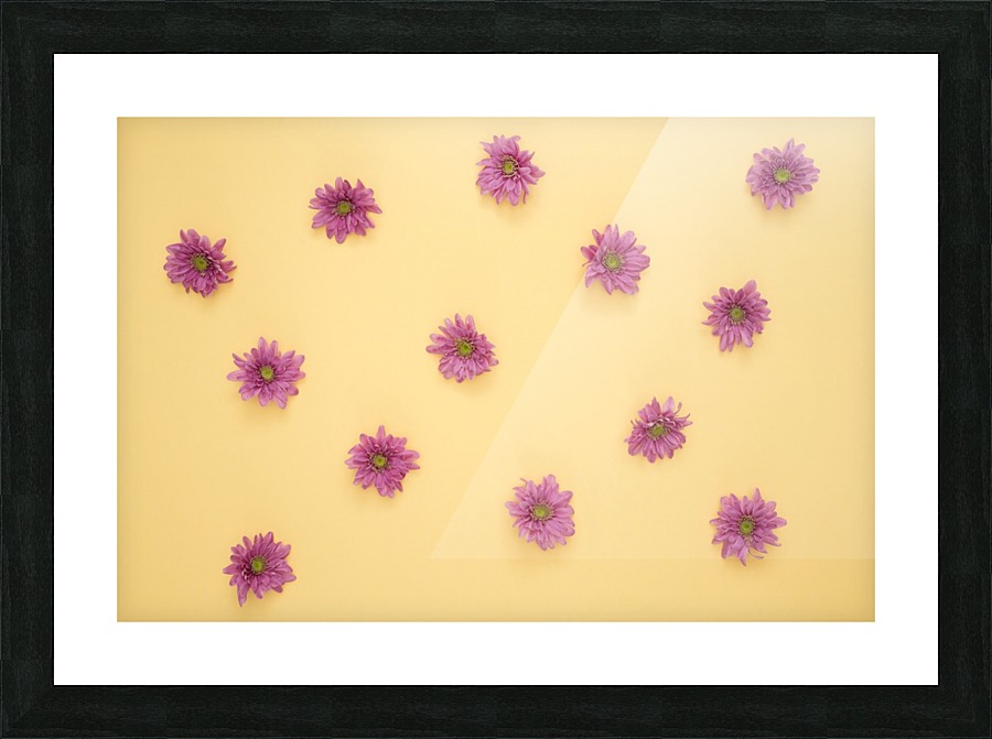 4 Picture Frame print