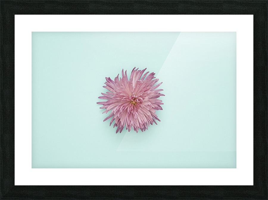 2 Picture Frame print