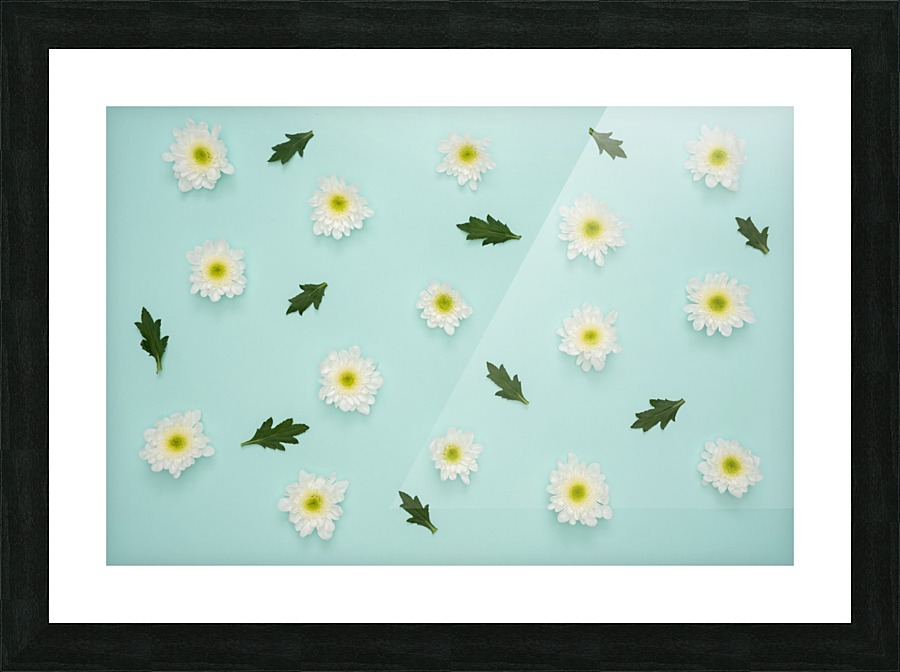 1 Picture Frame print