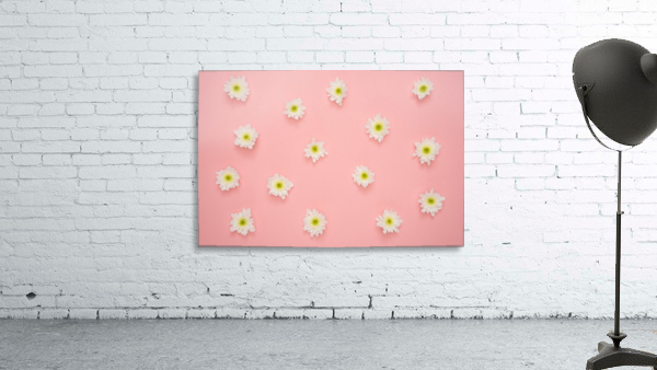 Transitions Wall Preview