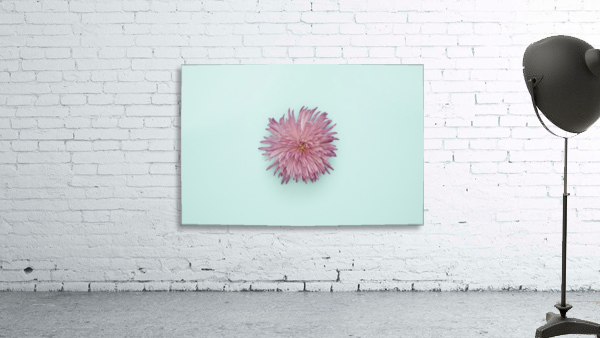 2 Wall Preview