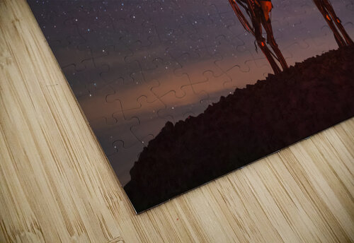 Galactic Chieftain 2 Ed Lee Photography puzzle
