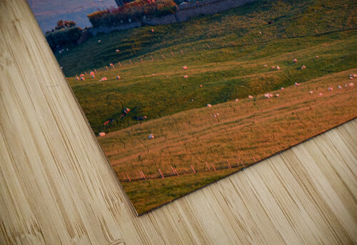 Classiebawn Sunset 1 Ed Lee Photography puzzle